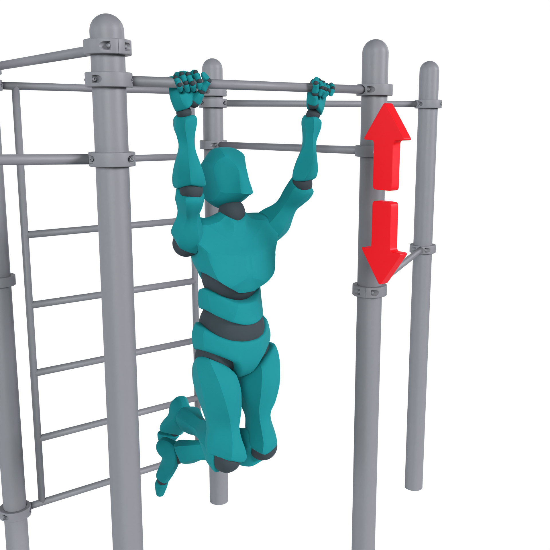 Подтягивания (6)