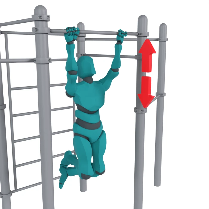 Подтягивания (6)