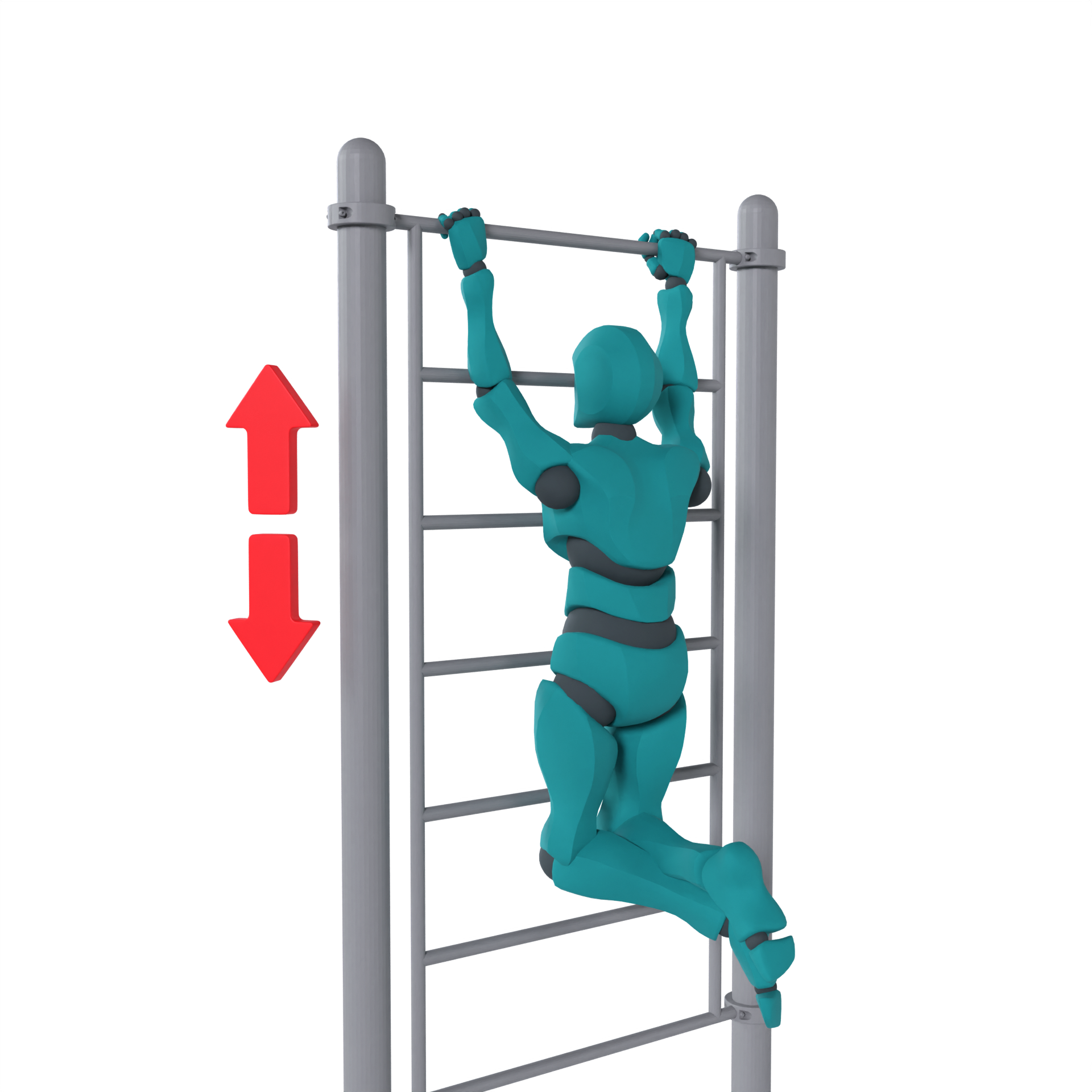 Подтягивания (1)