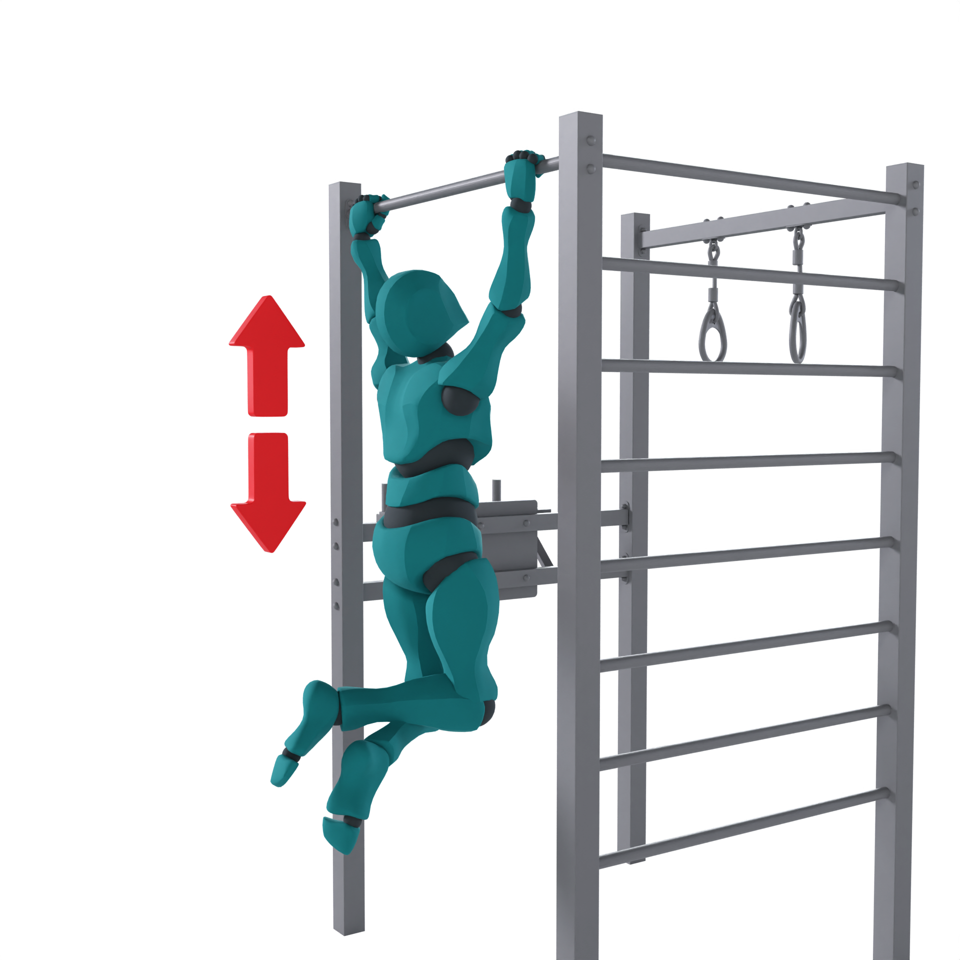 Подтягивания (3)