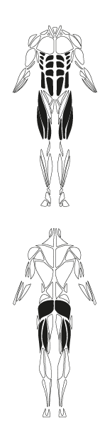 FS A015 01