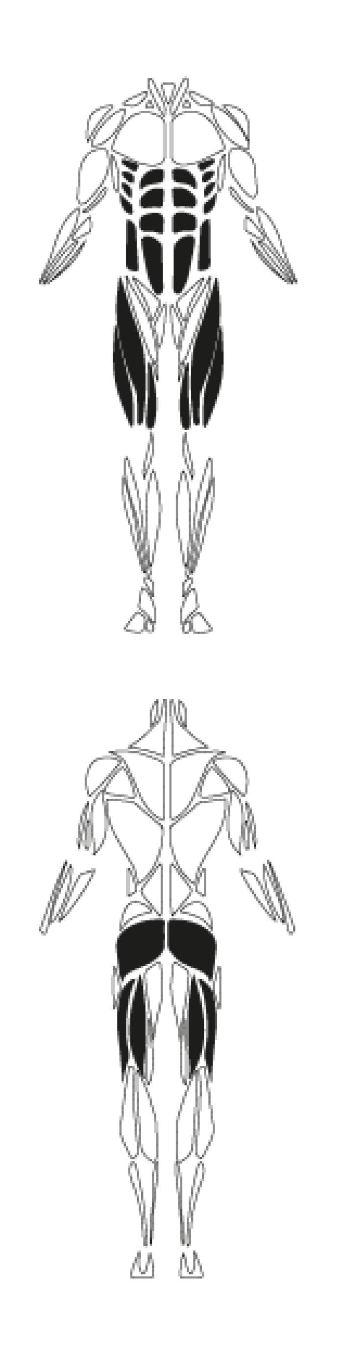 FS A015 01