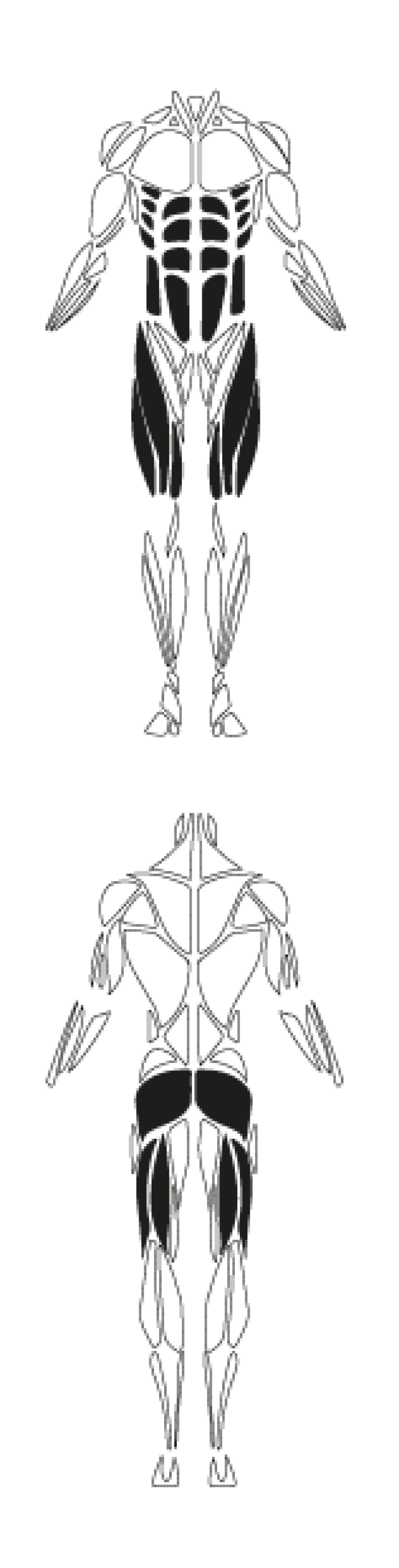 FS A015 01