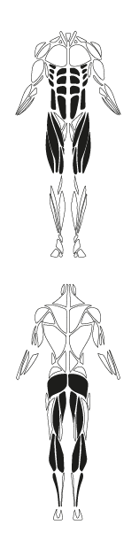 FS21701 Fitness Equipment 01 01