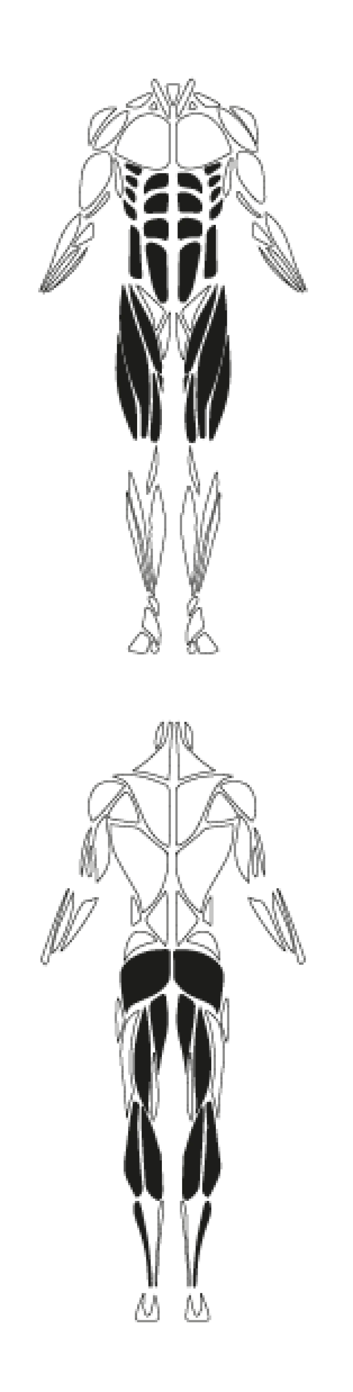 FS21701 Fitness Equipment 01 01