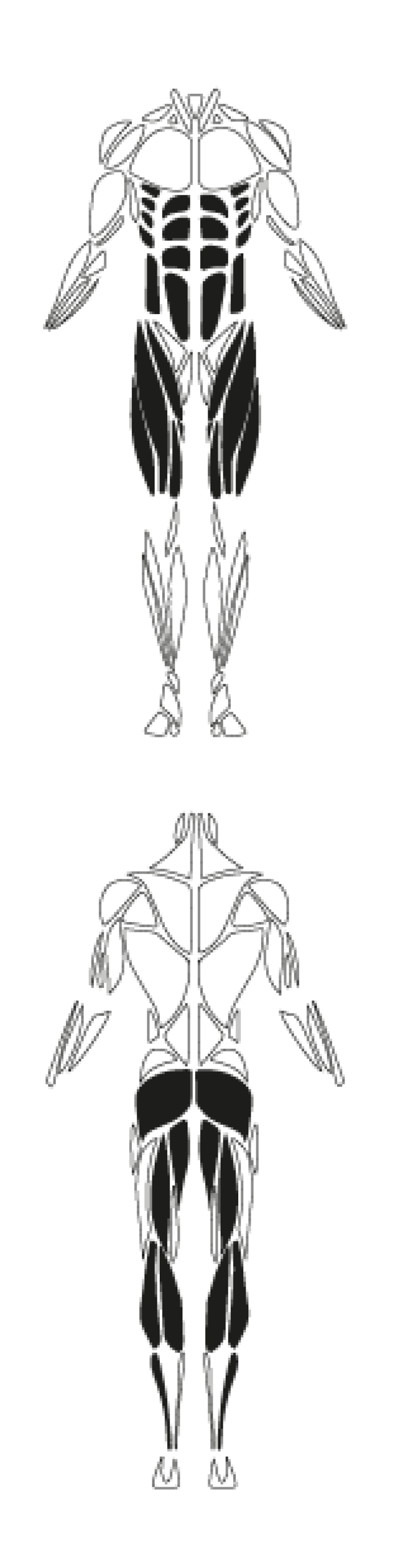 FS21701 Fitness Equipment 01 01