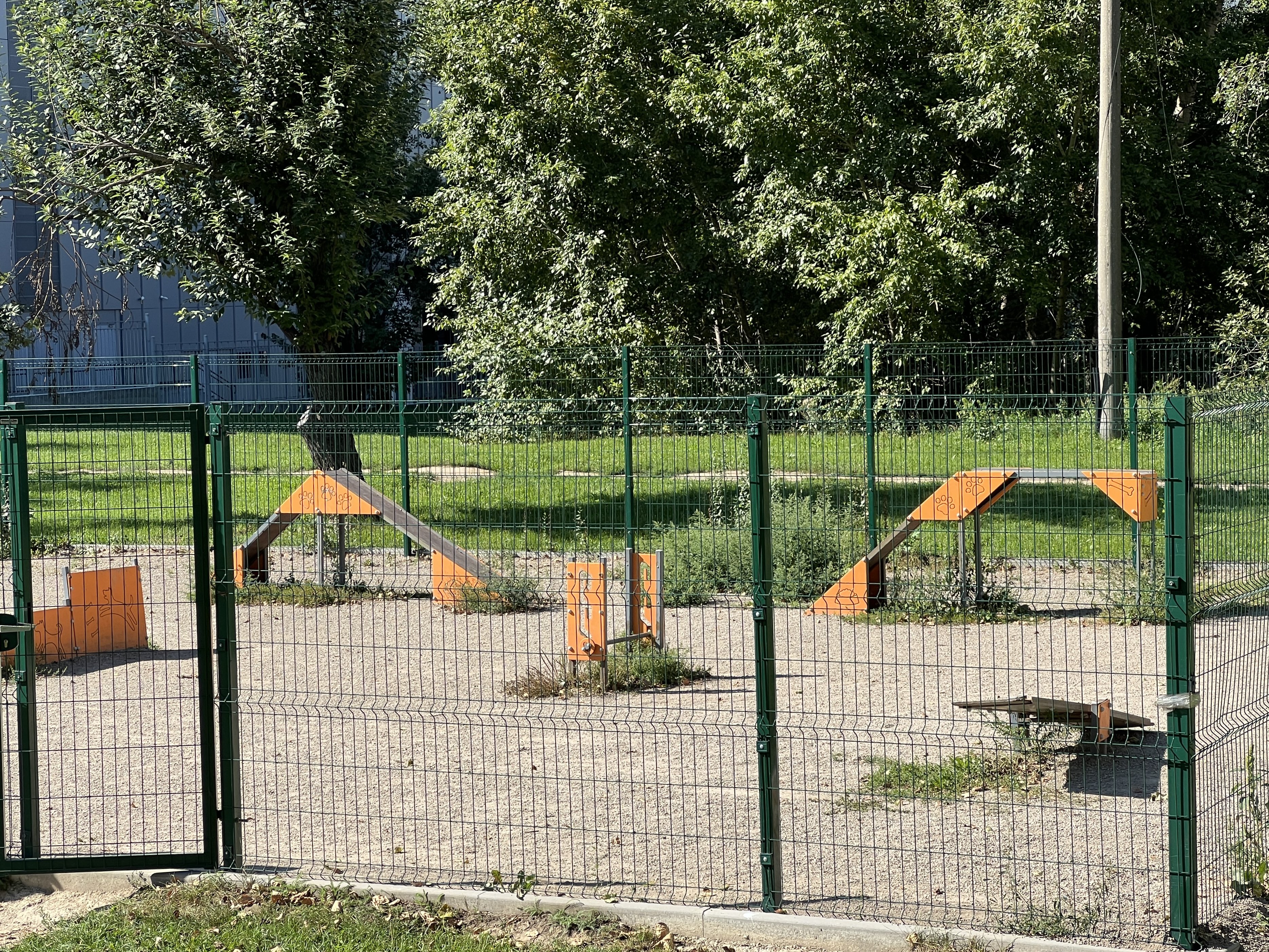 Img 3545