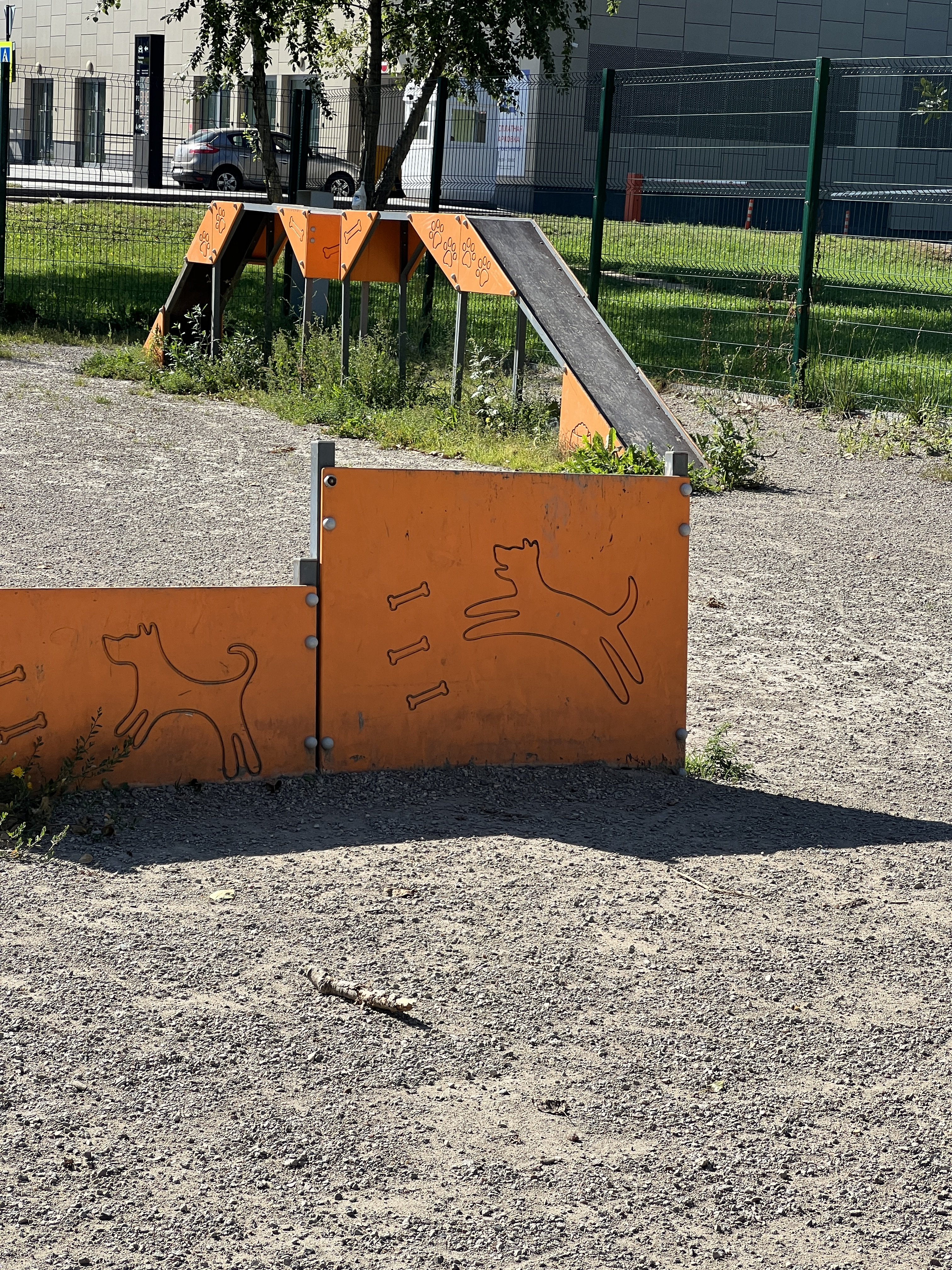 Img 3562