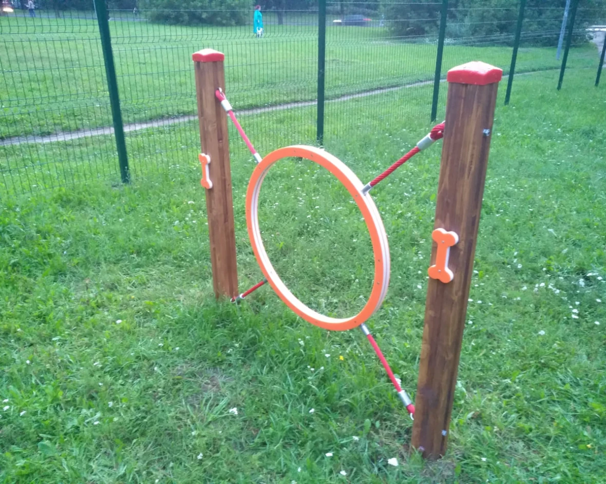 Photo 2025 08 11 15 18 46