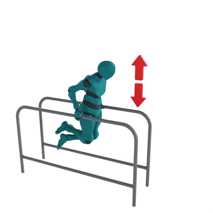 Брусья (1)