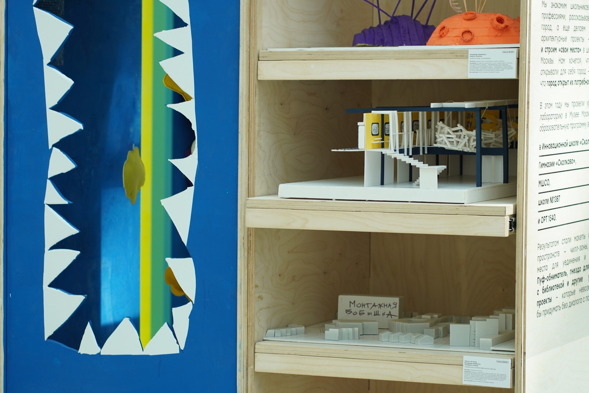 DSC06545.JPG compressed