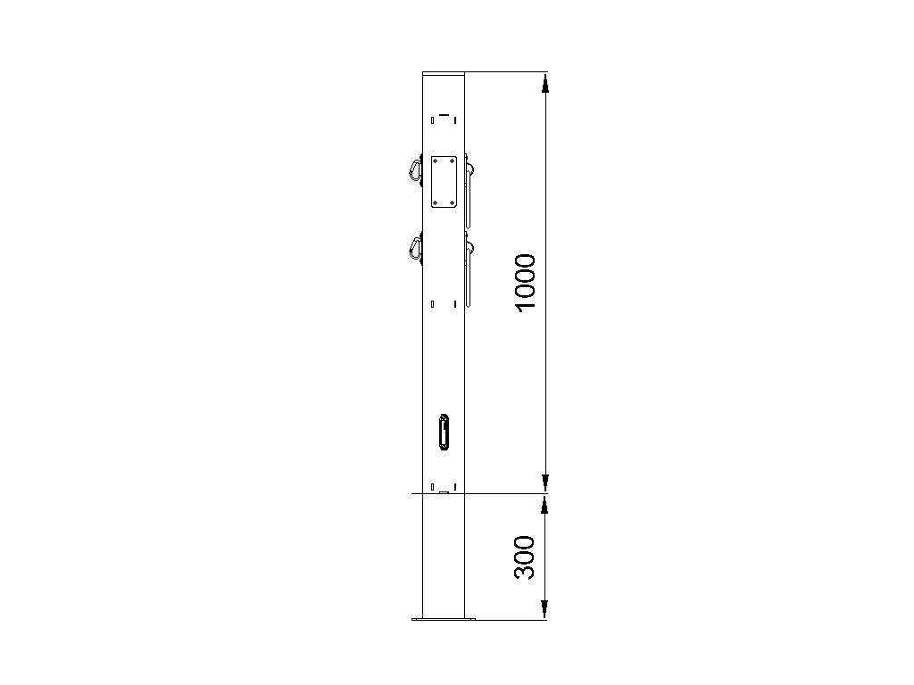 Post with Leash Attachments